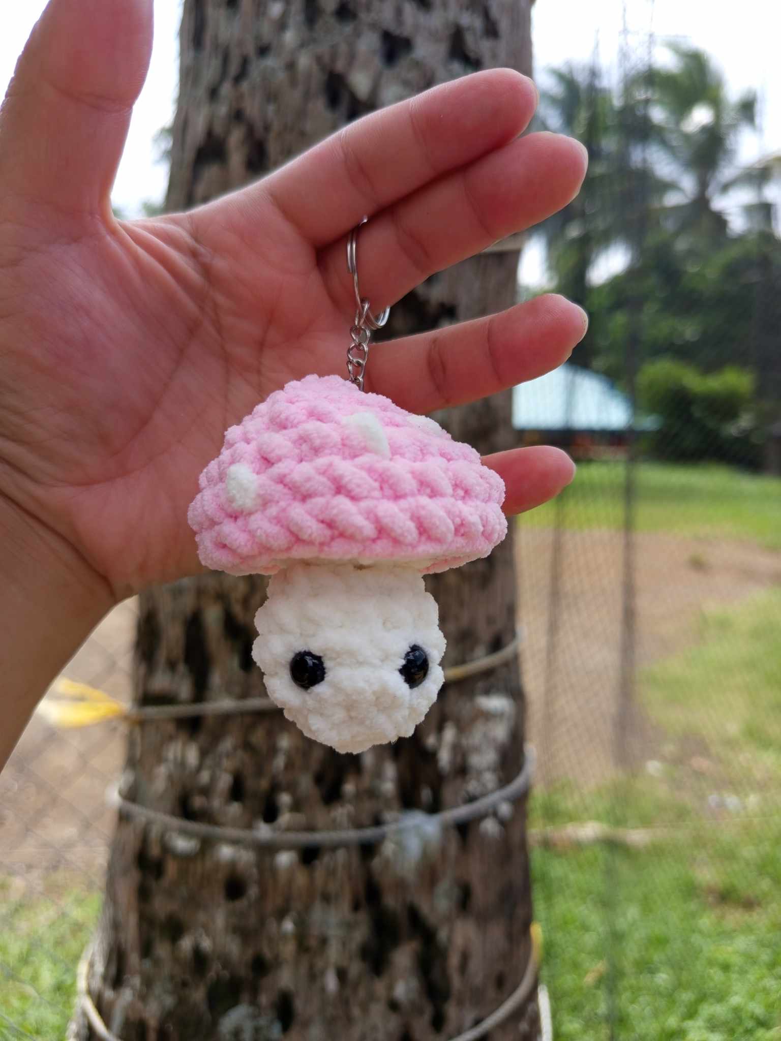 462545640_2538541999677419_3147957123218716642_n (1)