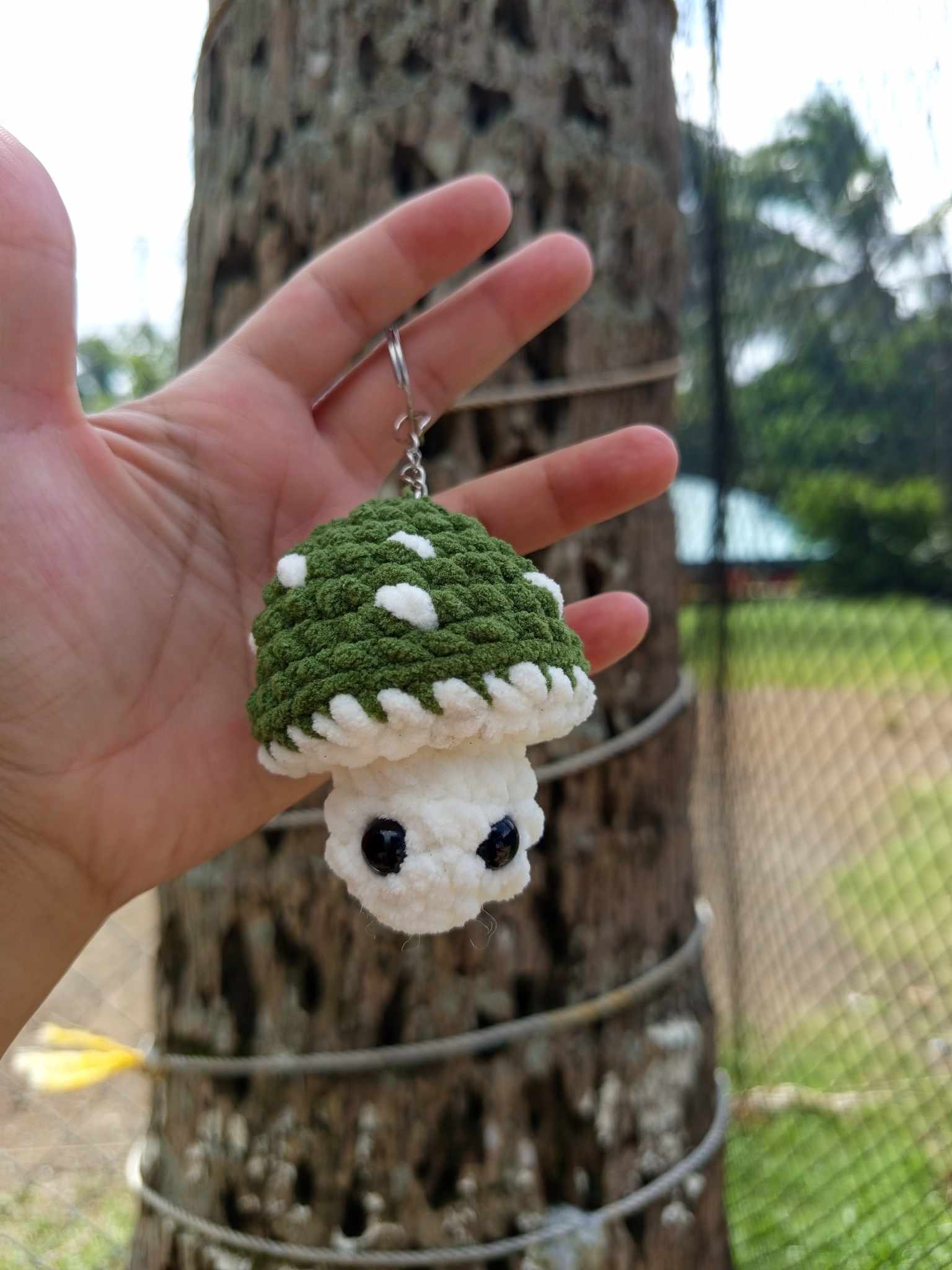 462548923_520071514273853_282725691502328330_n (1)