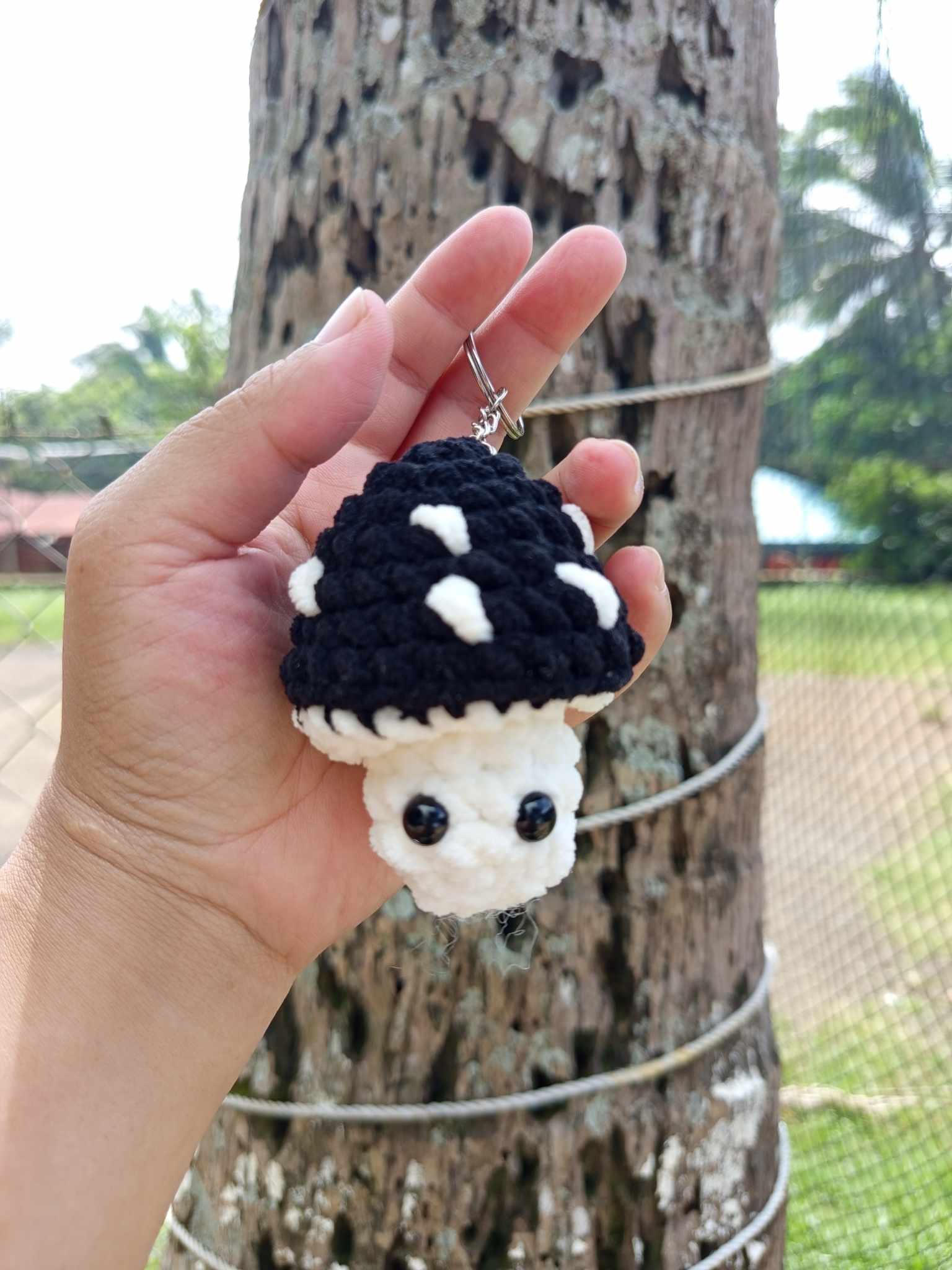 462570423_474068188979978_908290376521400563_n